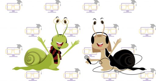 featured image slowlearning interviews