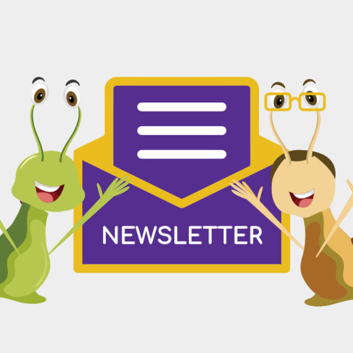 newsletter-featured image