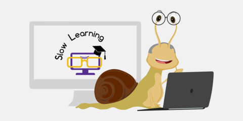 3rd Best national practice and experience from Slovenia