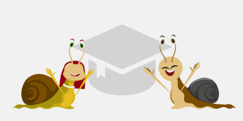 2nd Best national practice and experience from Slovenia